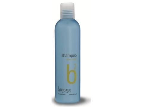 Shampoo Brillo 250 ML